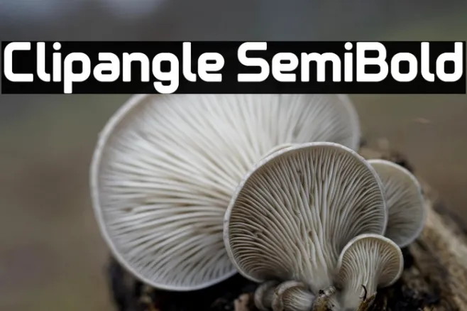 Clipangle SemiBold Example 2