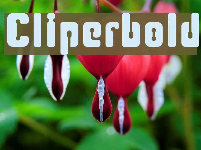 Cliperbold Example 1