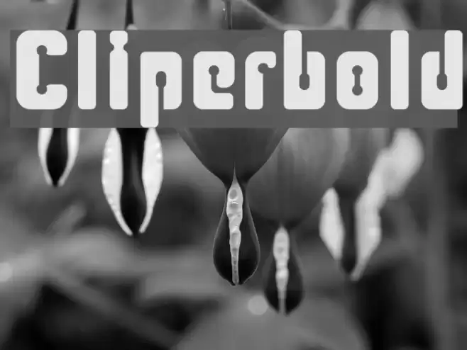 Cliperbold Font examples