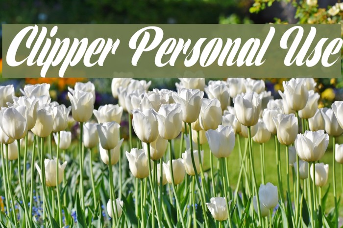 Clipper Personal Use Font examples