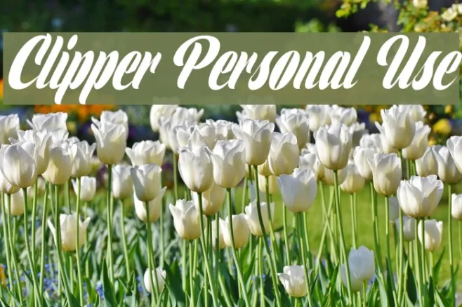 Clipper Personal Use  Example 2