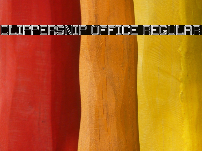 Clippersnip Office Regular Example 1