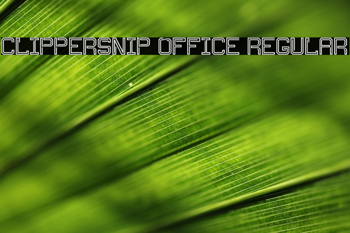 Clippersnip Office Regular Example 2