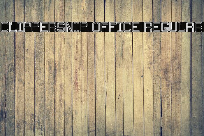Clippersnip Office Regular Example 3