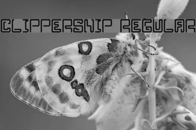 Clippersnip Regular Font examples