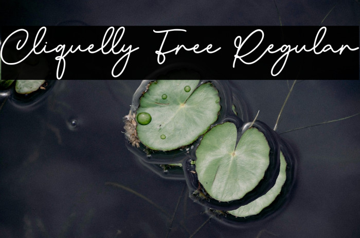 Cliquelly Free Regular Example 2