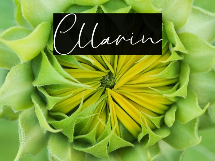 Cllarin Example 3