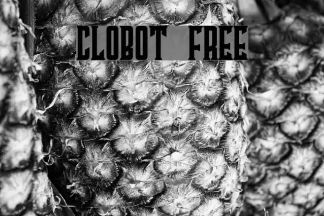 Clobot Free Шрифта examples