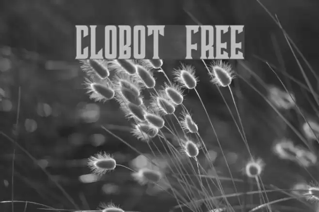 Clobot Free Шрифта examples