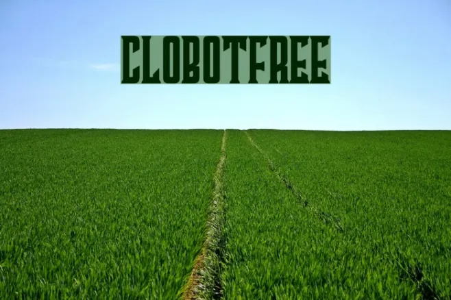ClobotFree Example 2