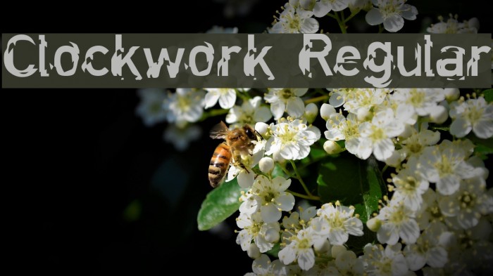 Clockwork Regular Font examples