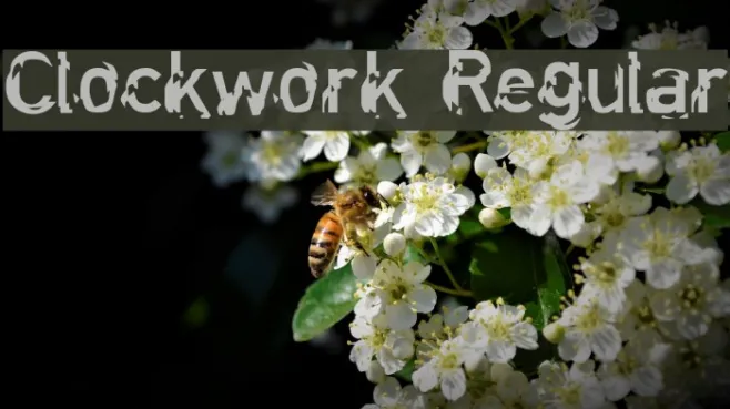 Clockwork Regular Example 1