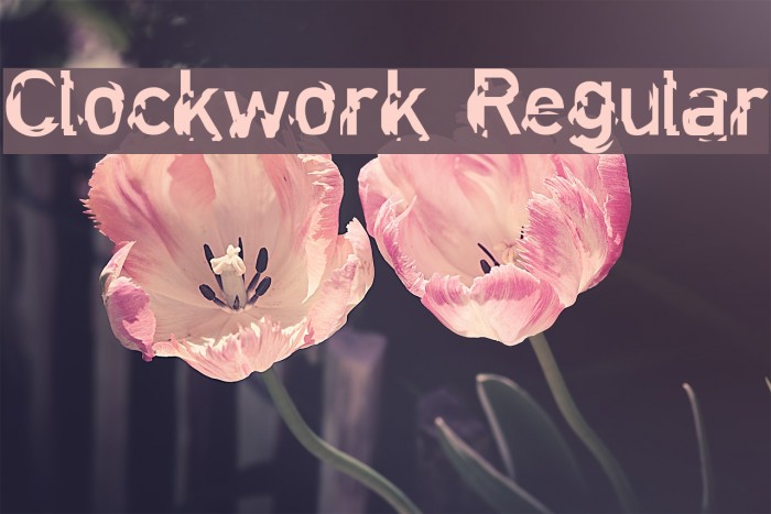 Clockwork Regular Font examples