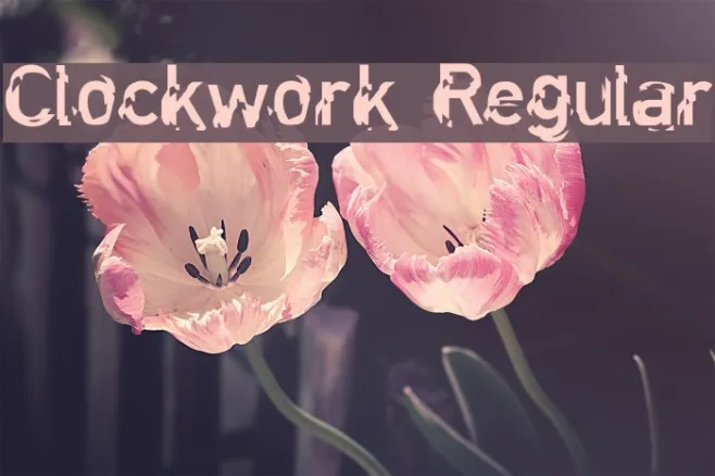 Clockwork Regular Example 3