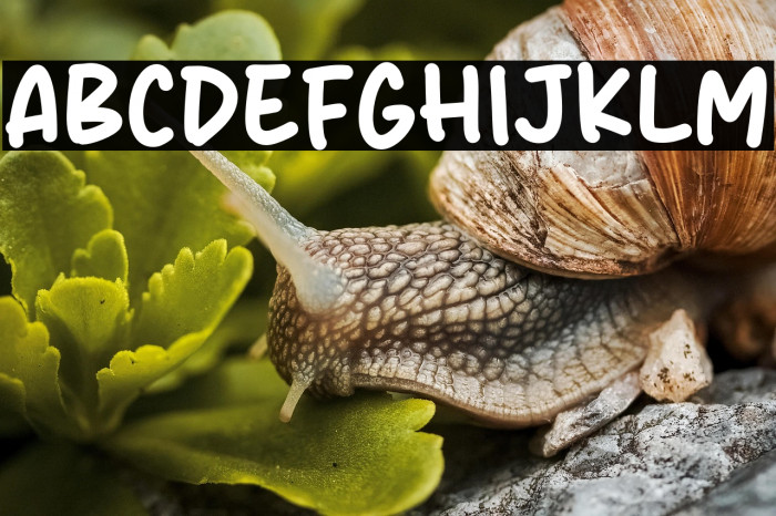 Clocky Stick Example 1