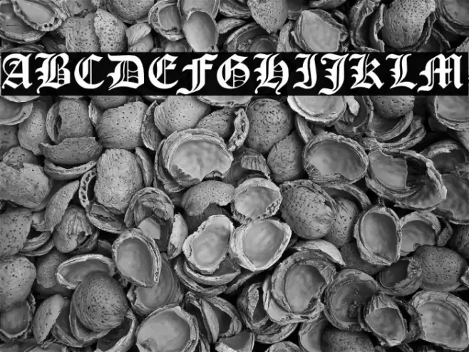 Cloister Black Light Font examples