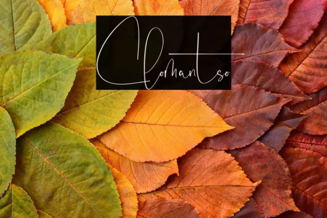 Clomantso Example 1