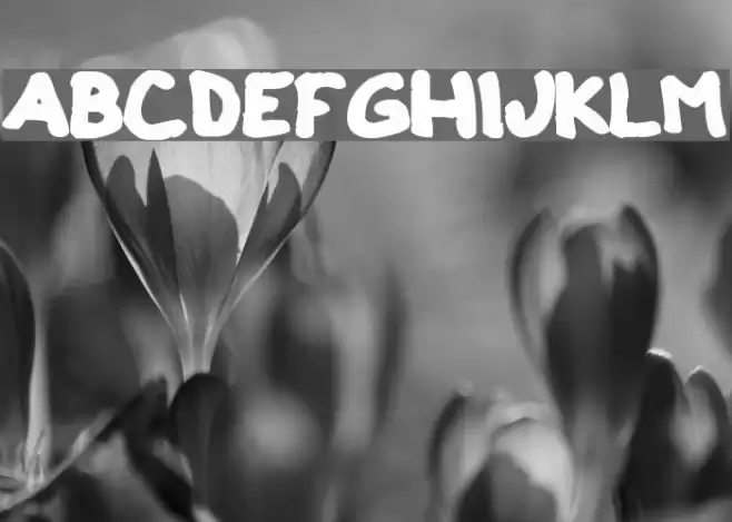 Clono dos Font examples