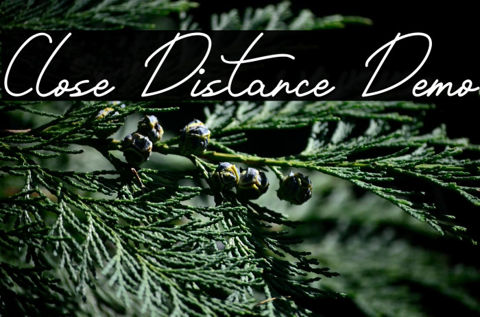 Close Distance Demo Example 3