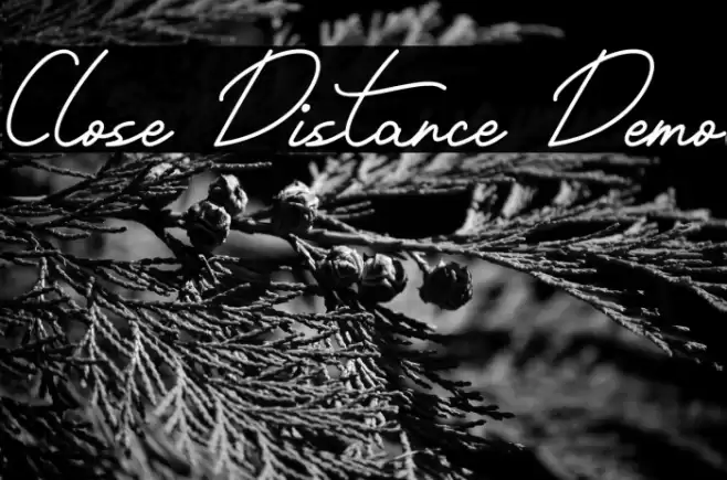 Close Distance Demo Font examples