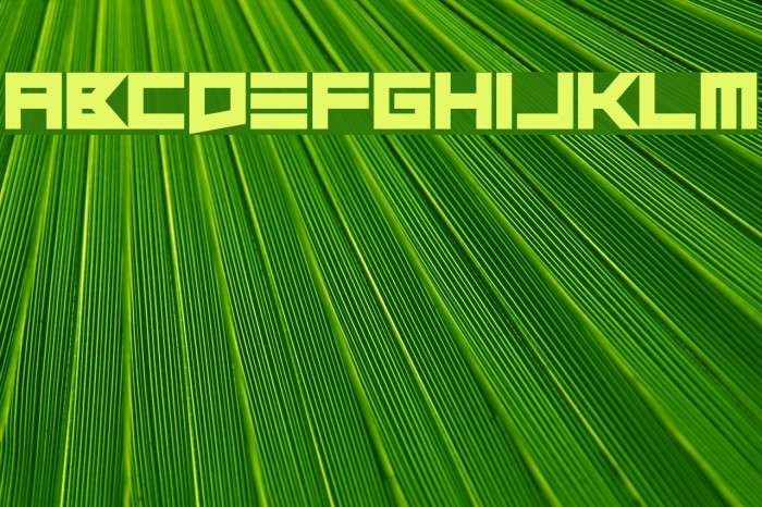 Close and Open Font examples