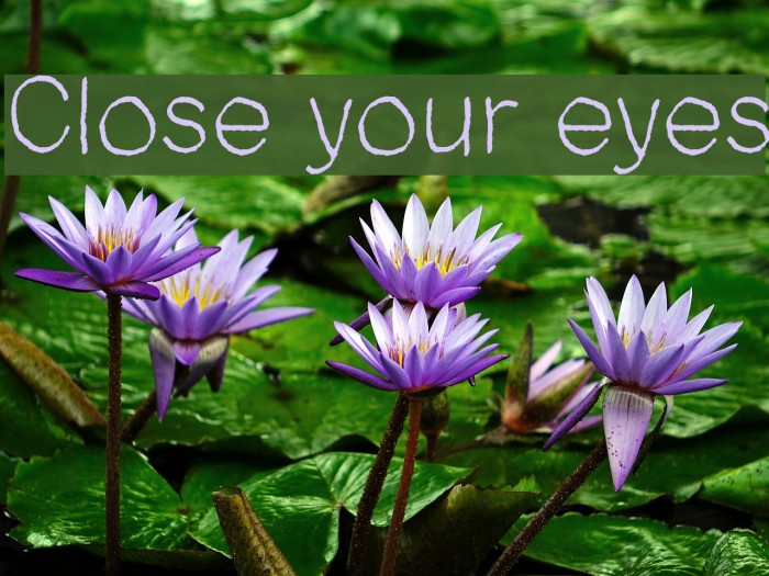 Close your eyes Font examples
