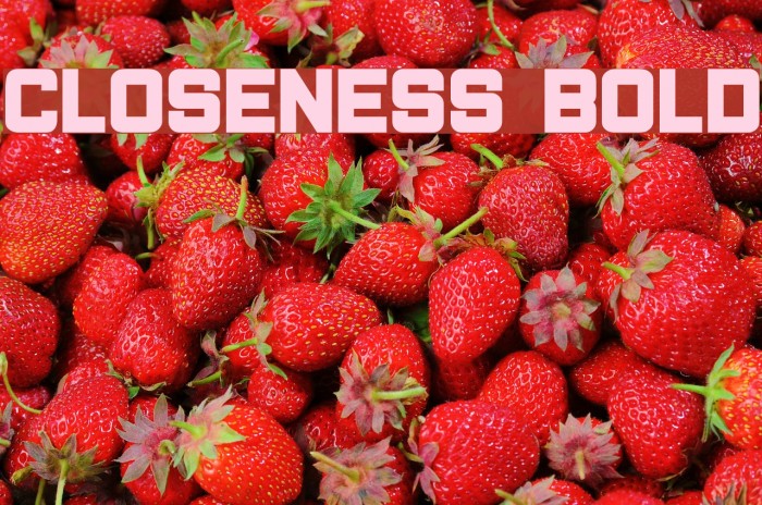 Closeness Bold Font examples