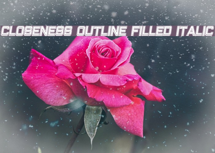 Closeness Outline Filled Italic Font examples