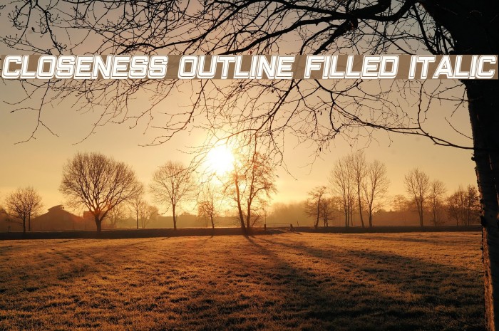 Closeness Outline Filled Italic Font examples