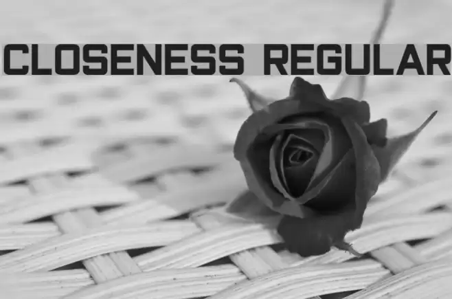 Closeness Regular Font examples