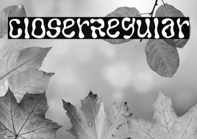 CloserRegular Font examples