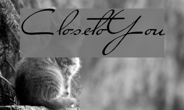 ClosetoYou Example 1