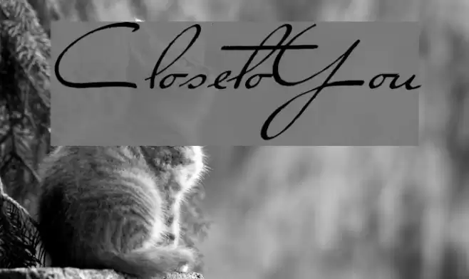 ClosetoYou Font examples