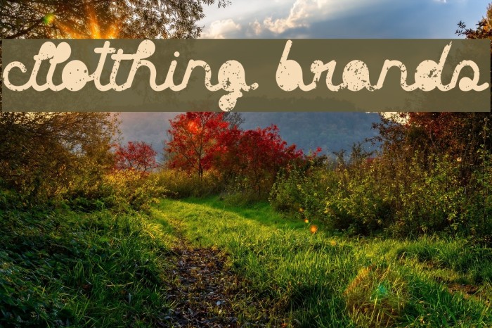 Clothing brands Font examples