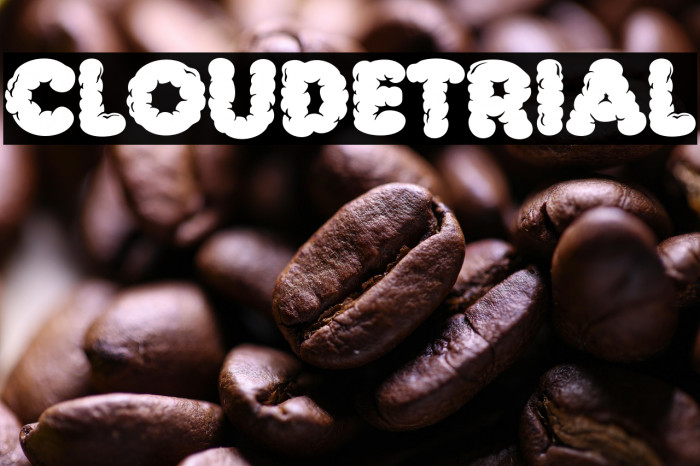 Cloude Trial Example 1