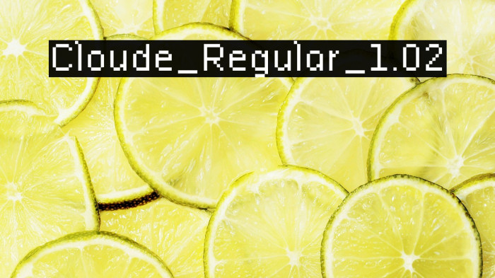 Cloude_Regular_1.02 Example 2