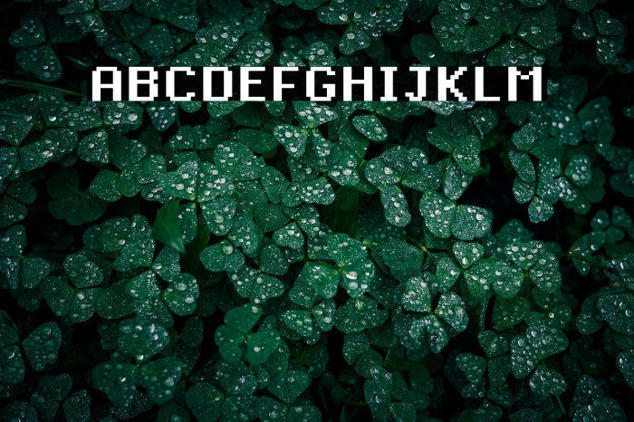 Cloude_Regular_Bold_1.02 Example 2