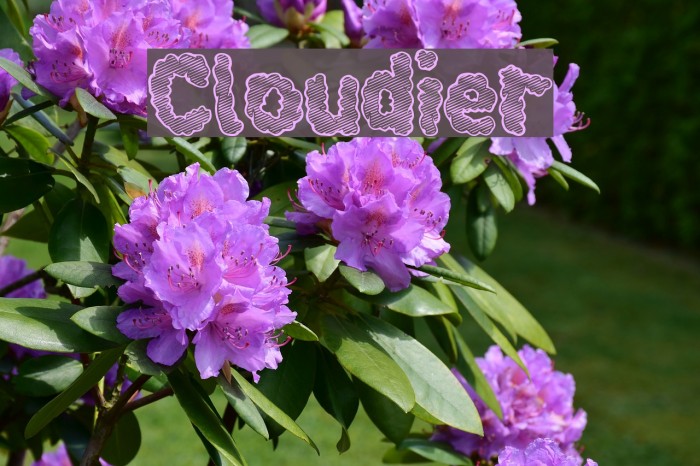 Cloudier Font examples