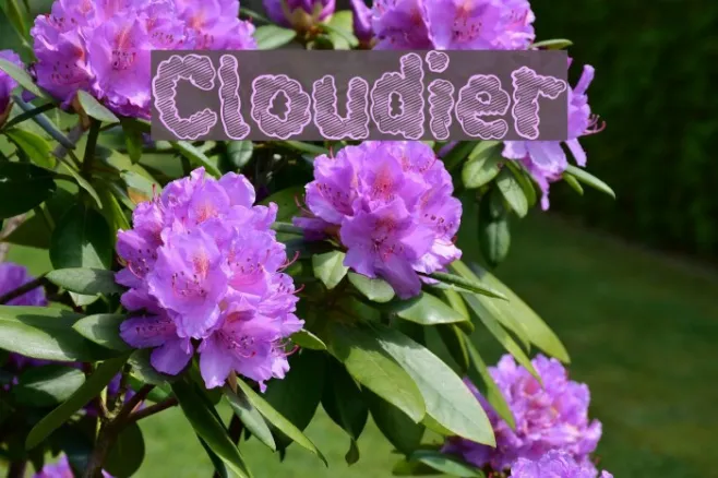 Cloudier Example 1