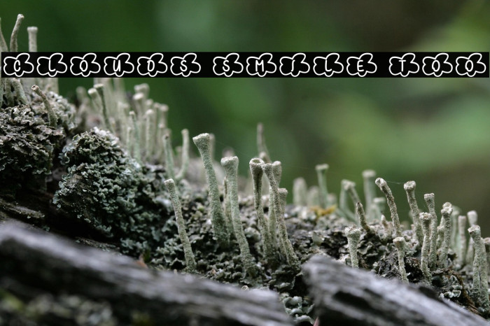 Clouds Smile Too Example 2