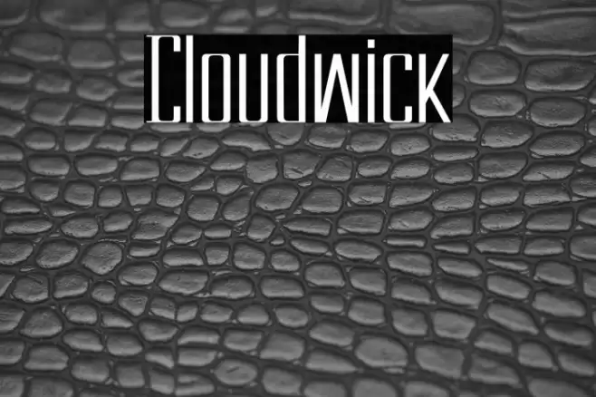 Cloudwick Font examples