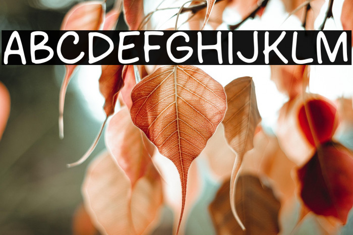 Cloudy Bright Example 3