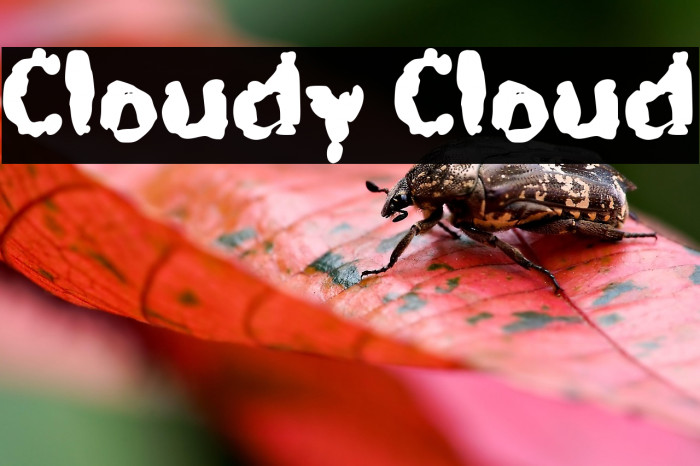 Cloudy Cloud Example 1