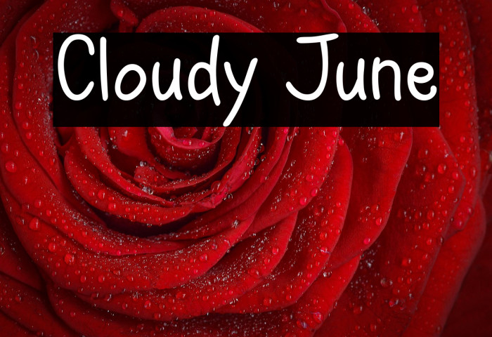 Cloudy June Example 3