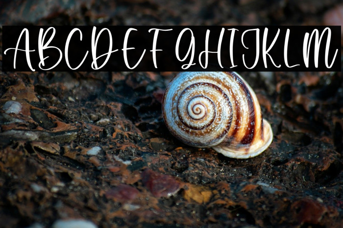 Cloudy Wavy Personal Use Example 1