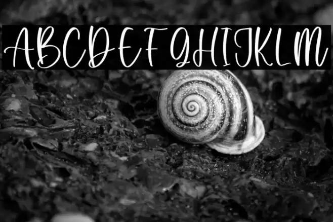 Cloudy Wavy Personal Use Font examples