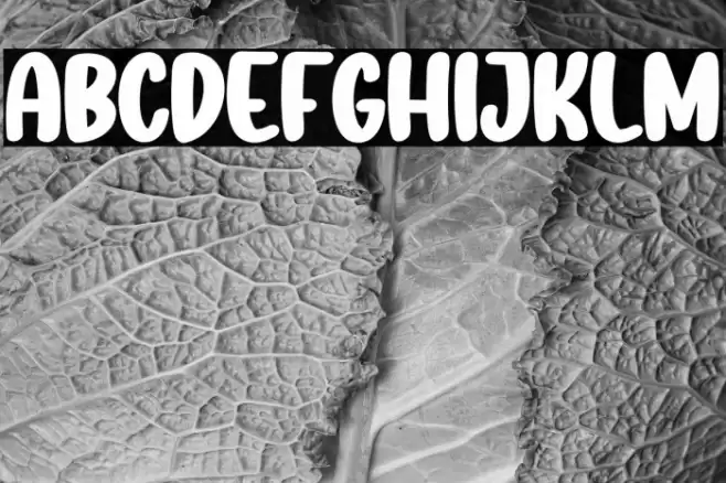 Cloudy Weather Caratteri examples