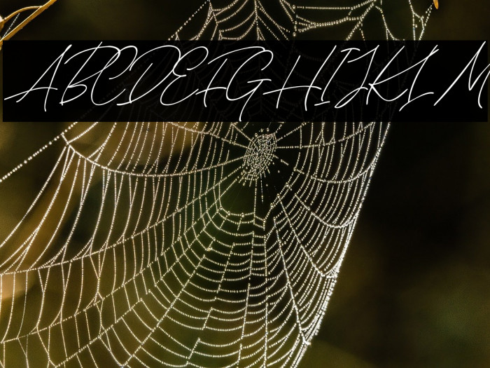 CloudyAuroraScriptDEMO Example 1