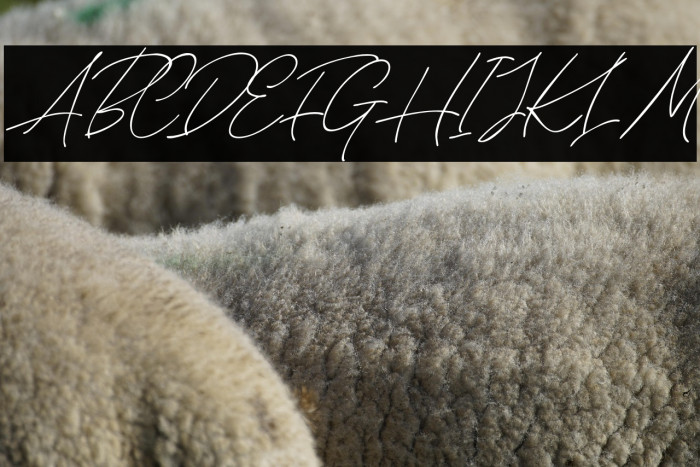 CloudyAuroraScriptDEMO Example 2