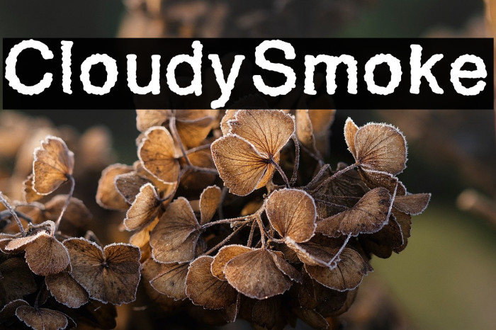 CloudySmoke Example 2